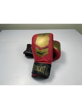 Everlast Prospect Youth Boxing Kit Gloves Mitts Headgear Open Box